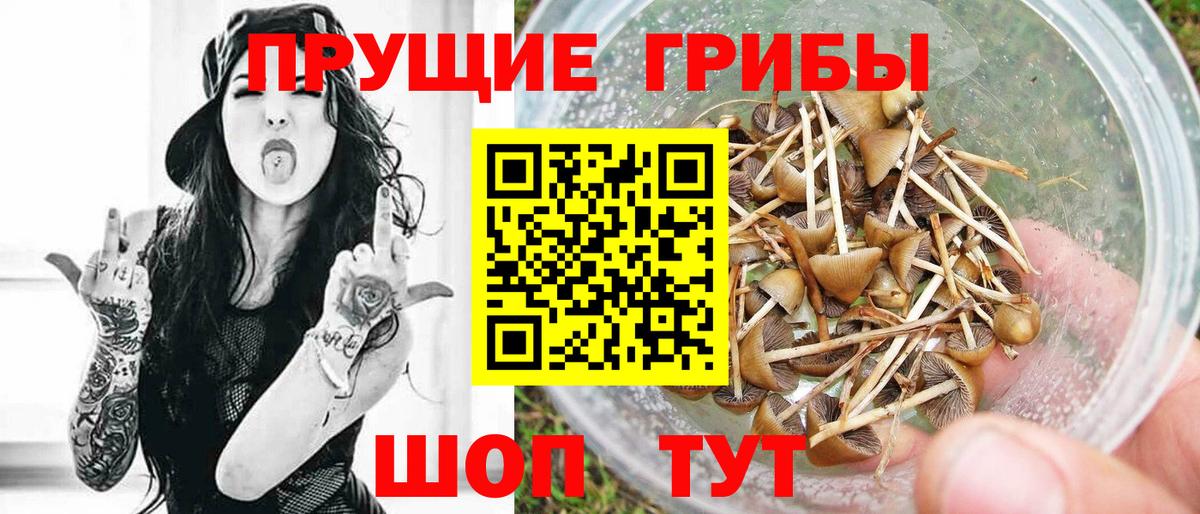 Галлюциногенные грибы GOLDEN TEACHER  Галлюциногенные грибы прущие грибы  Топки  Вход с VPN 
